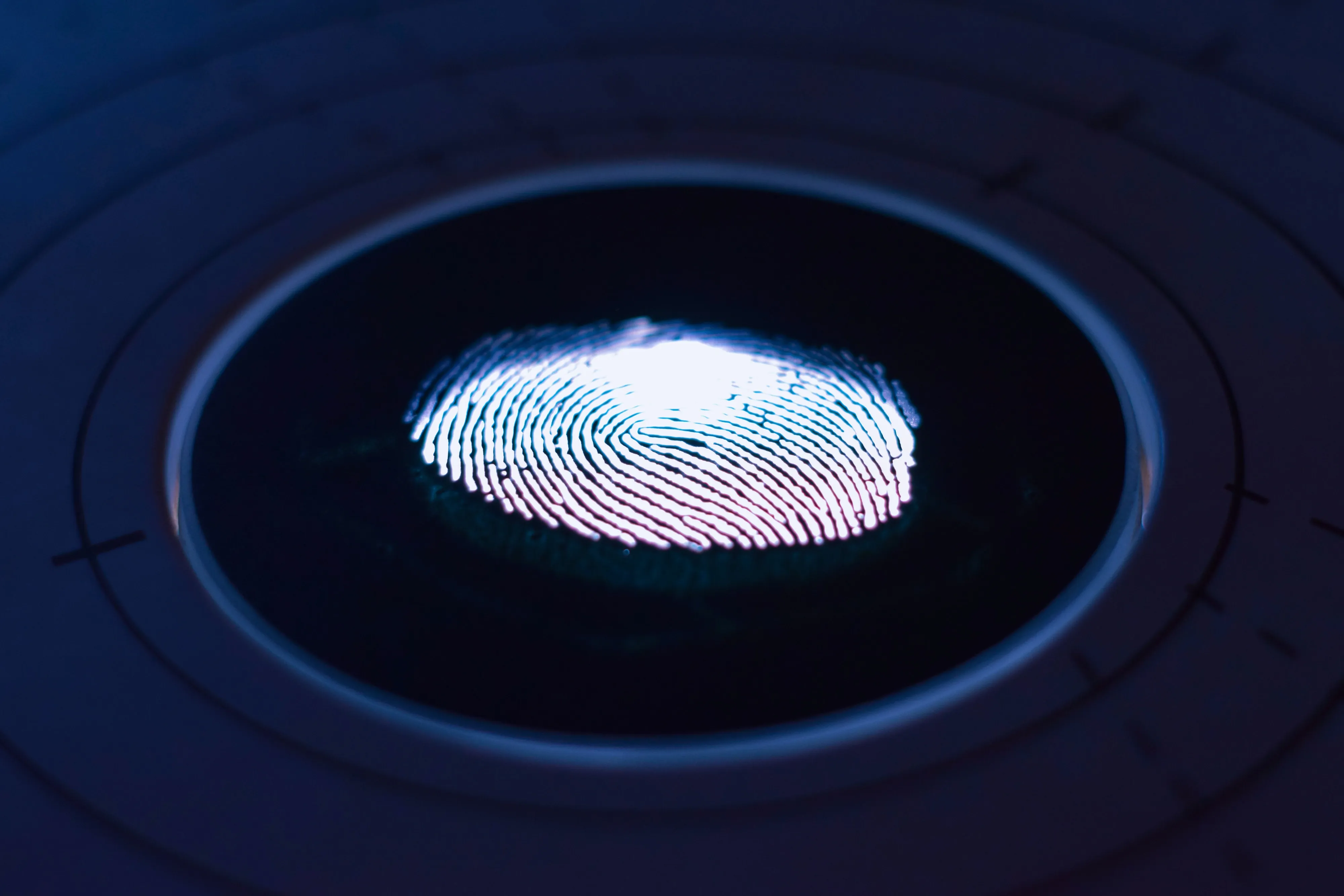 Device Fingerprint